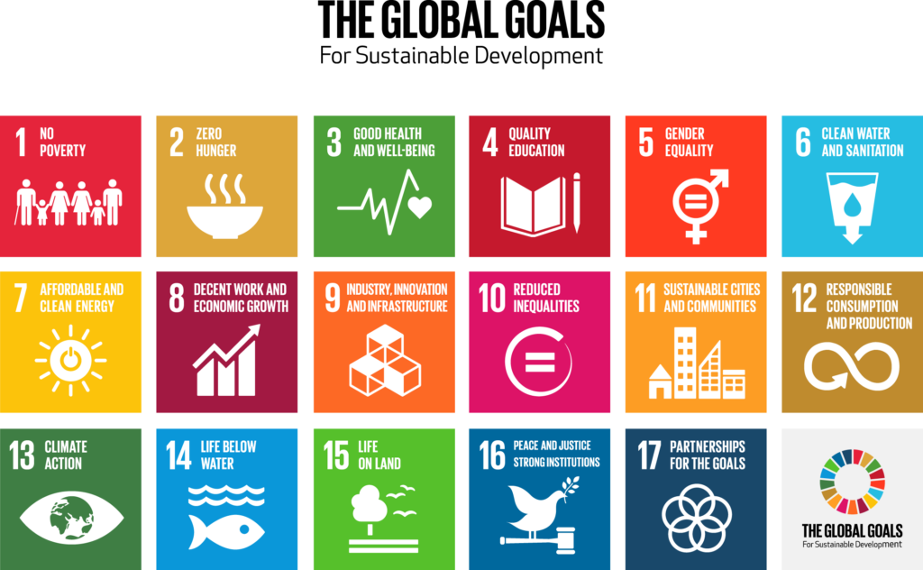 Sustainable Development Goals Icons